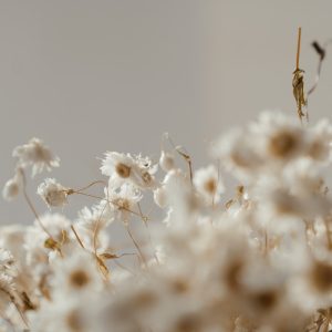 Rose & Jasmine Dream Bouquet