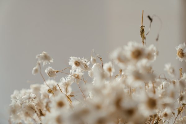 Rose & Jasmine Dream Bouquet