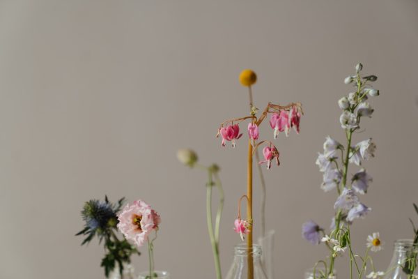 Purple Violet & Lavender Posy